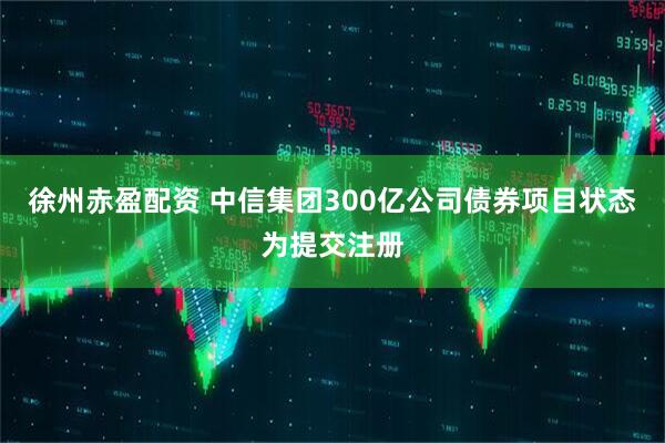 徐州赤盈配资 中信集团300亿公司债券项目状态为提交注册